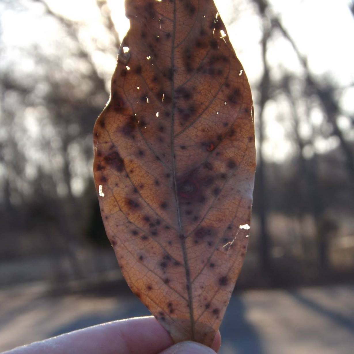 conversation series: a conversation about morality, values and religion