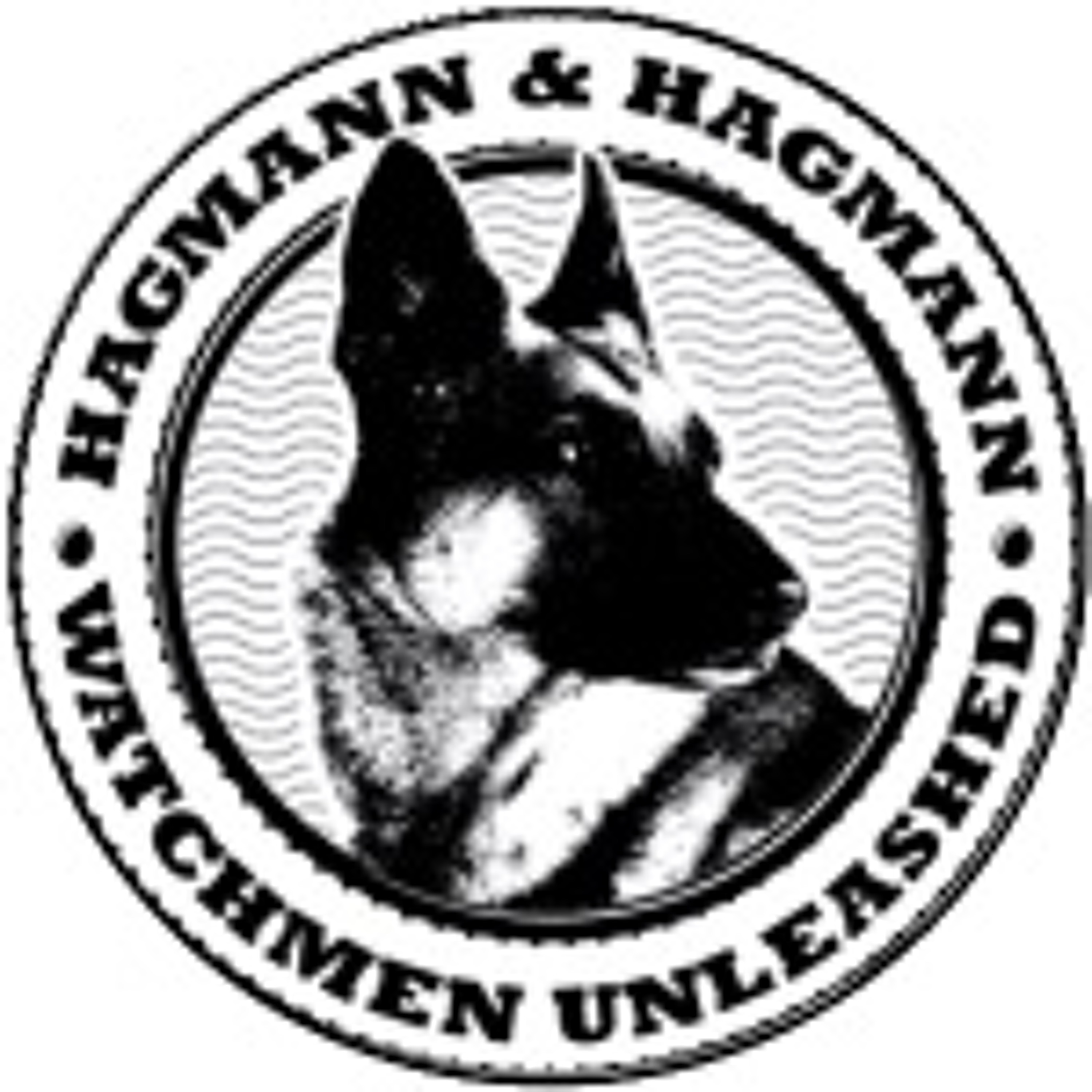 Hagmann Report