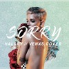 Halsey Sorry Venxs Cover Mp3
