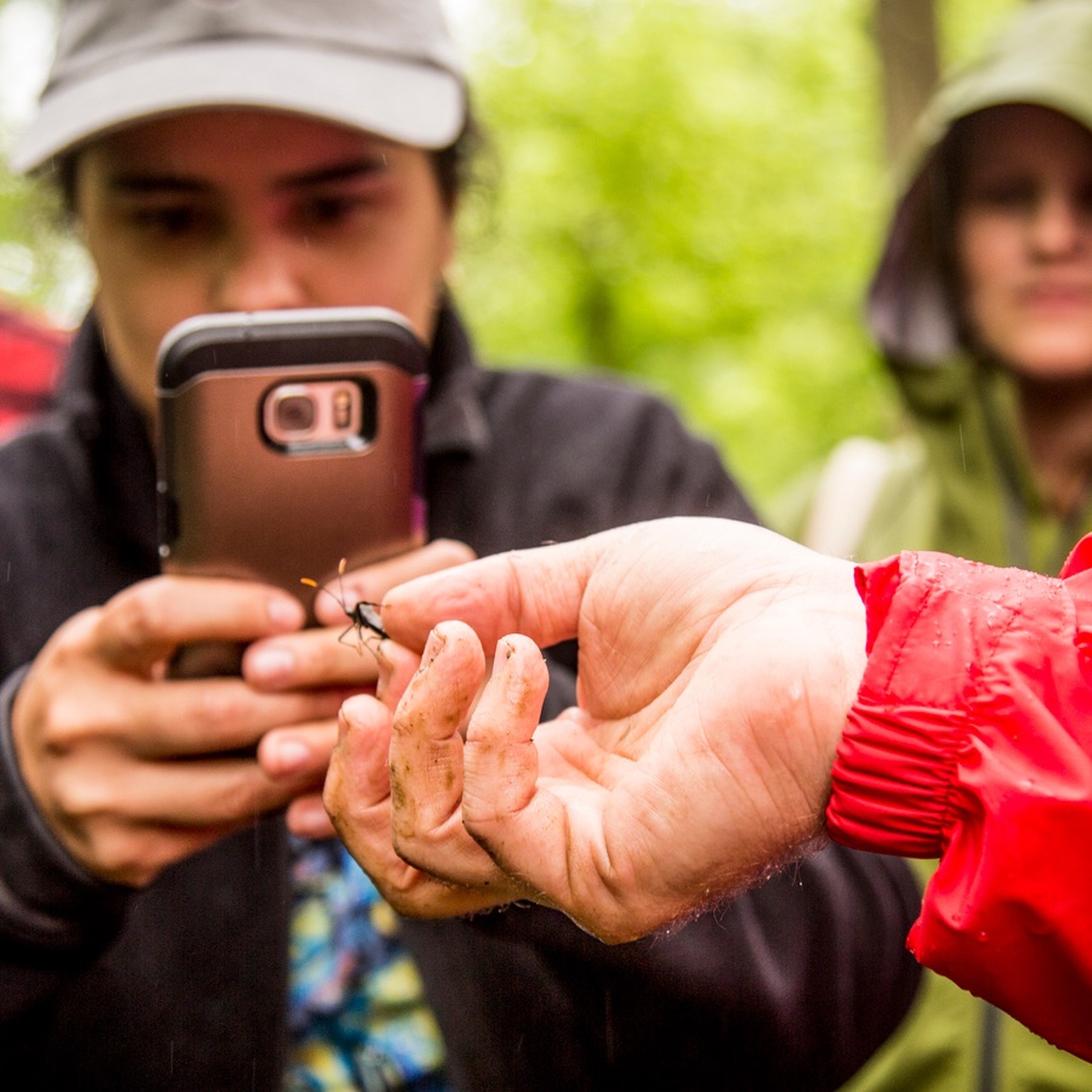 Health Science (For the Rest of Us!)