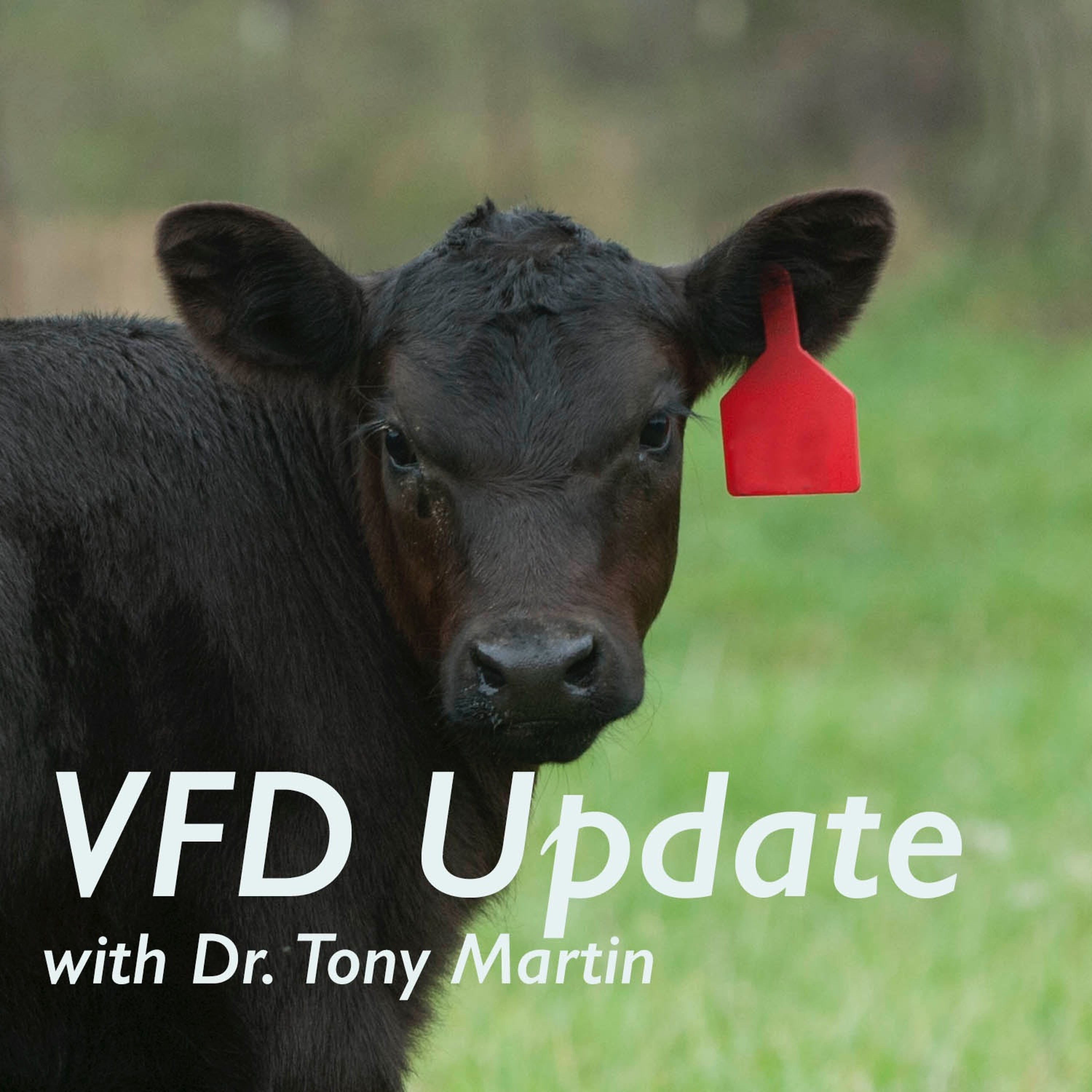 170606 DrTonyMartin MFA