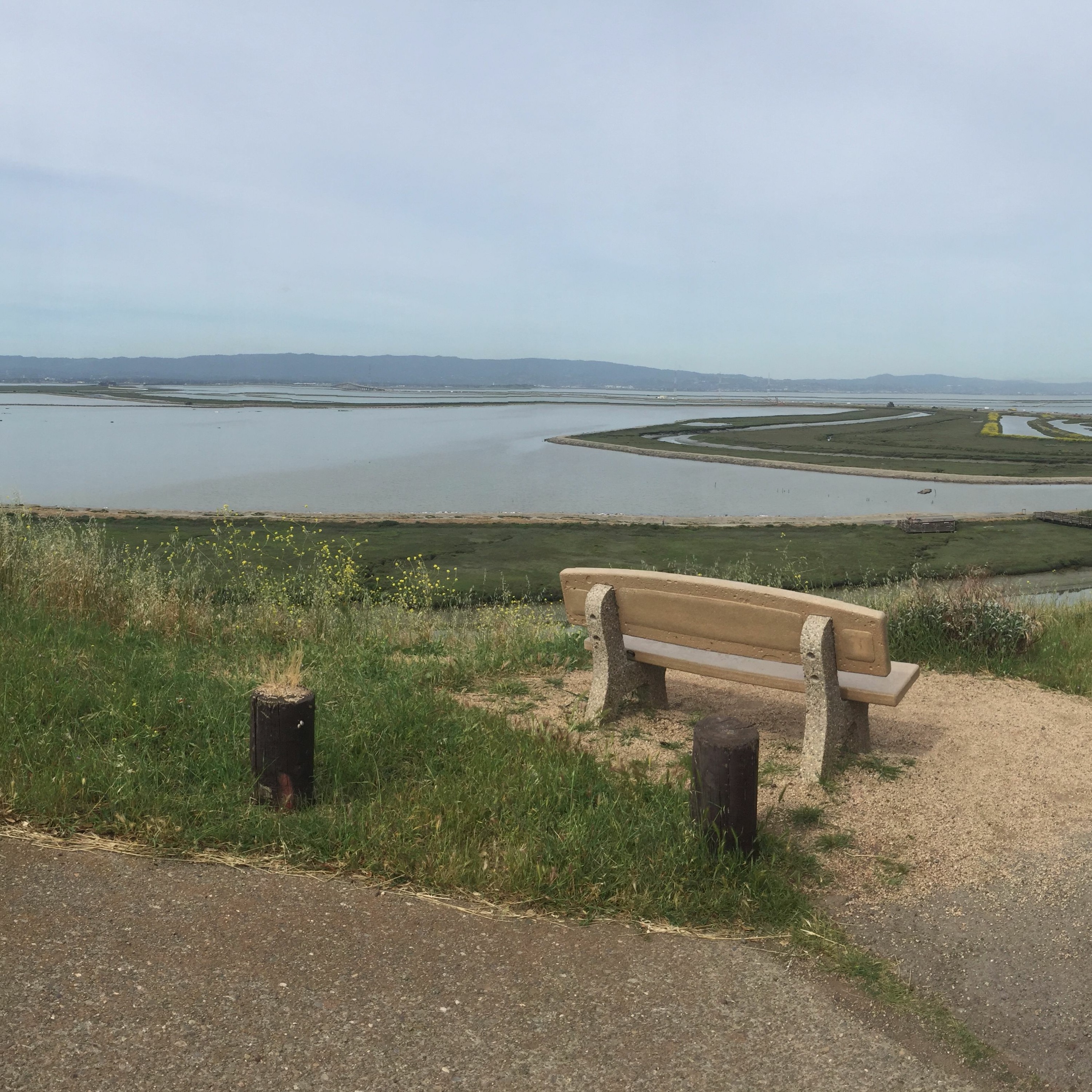 Rising Seas in Silicon Valley