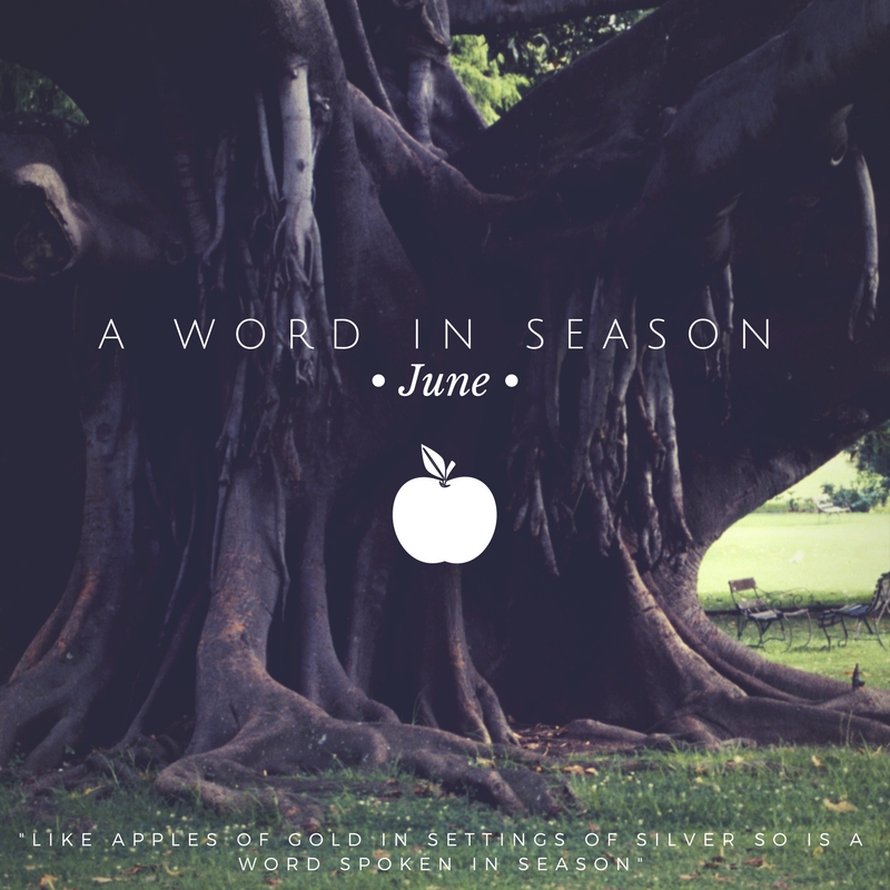 A Word In Season - 2 The Right Gospel - Tony Cameneti