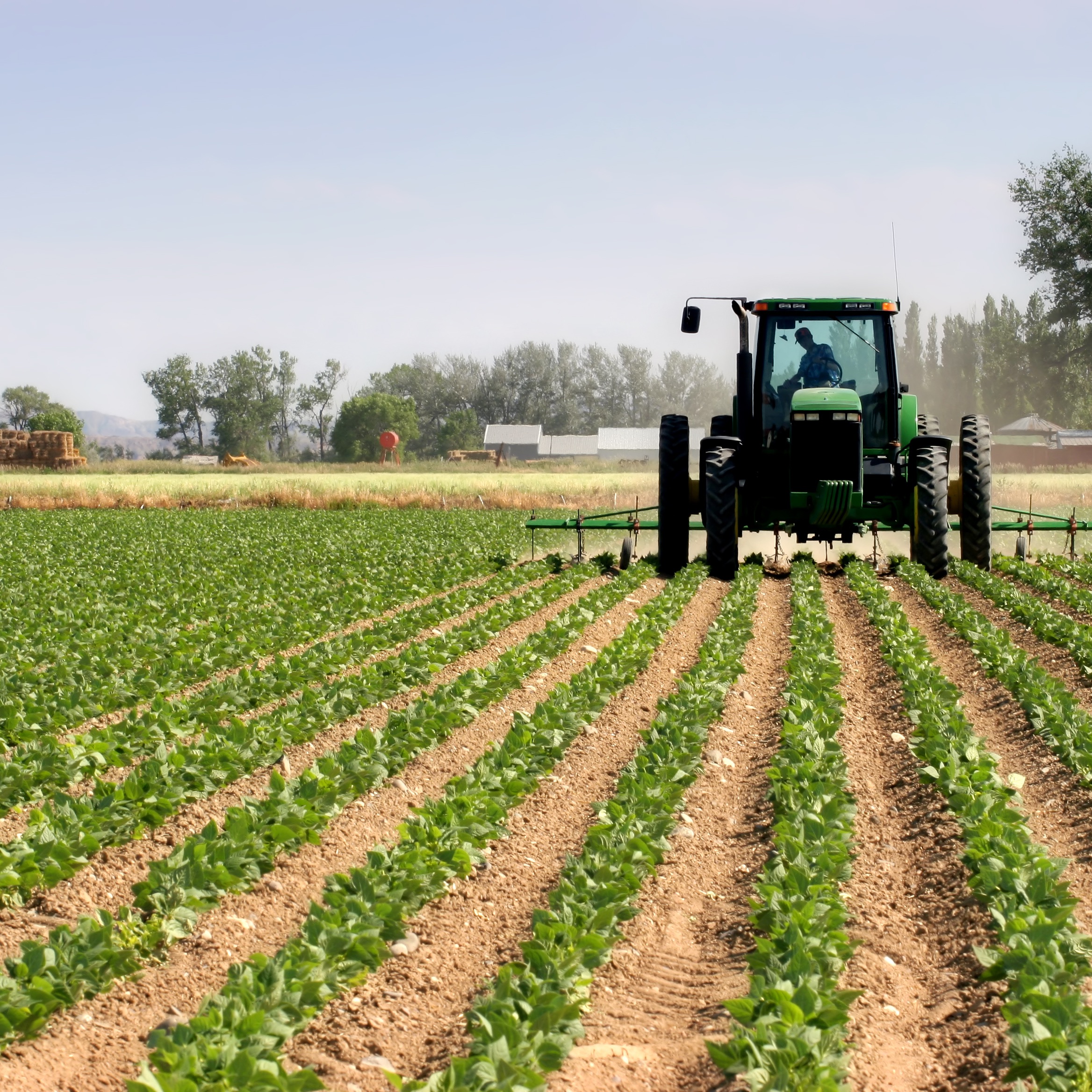 #61 With a little help from friends: How Nestlé plans to solve the global food crisis