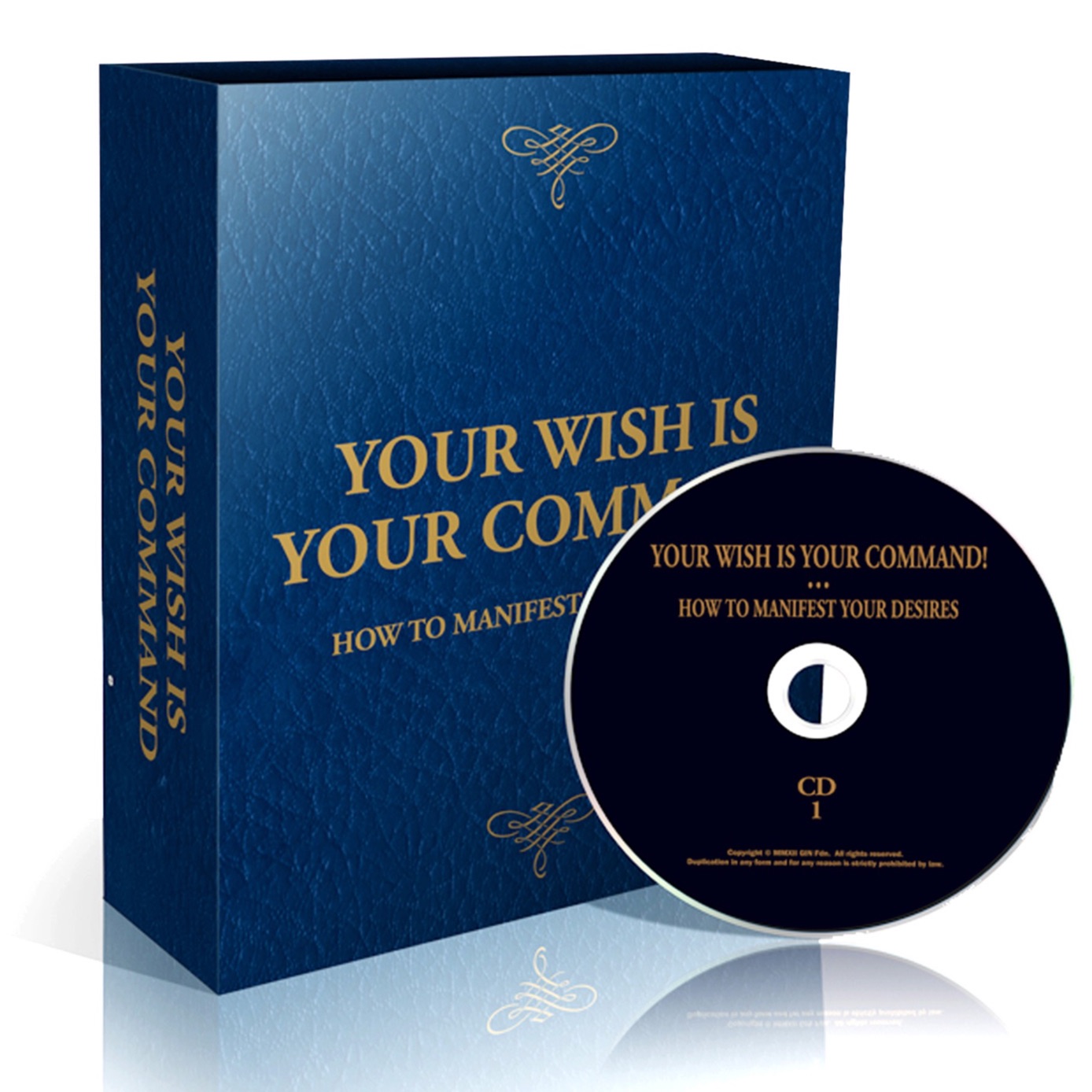 02 Your Wish is Your Command