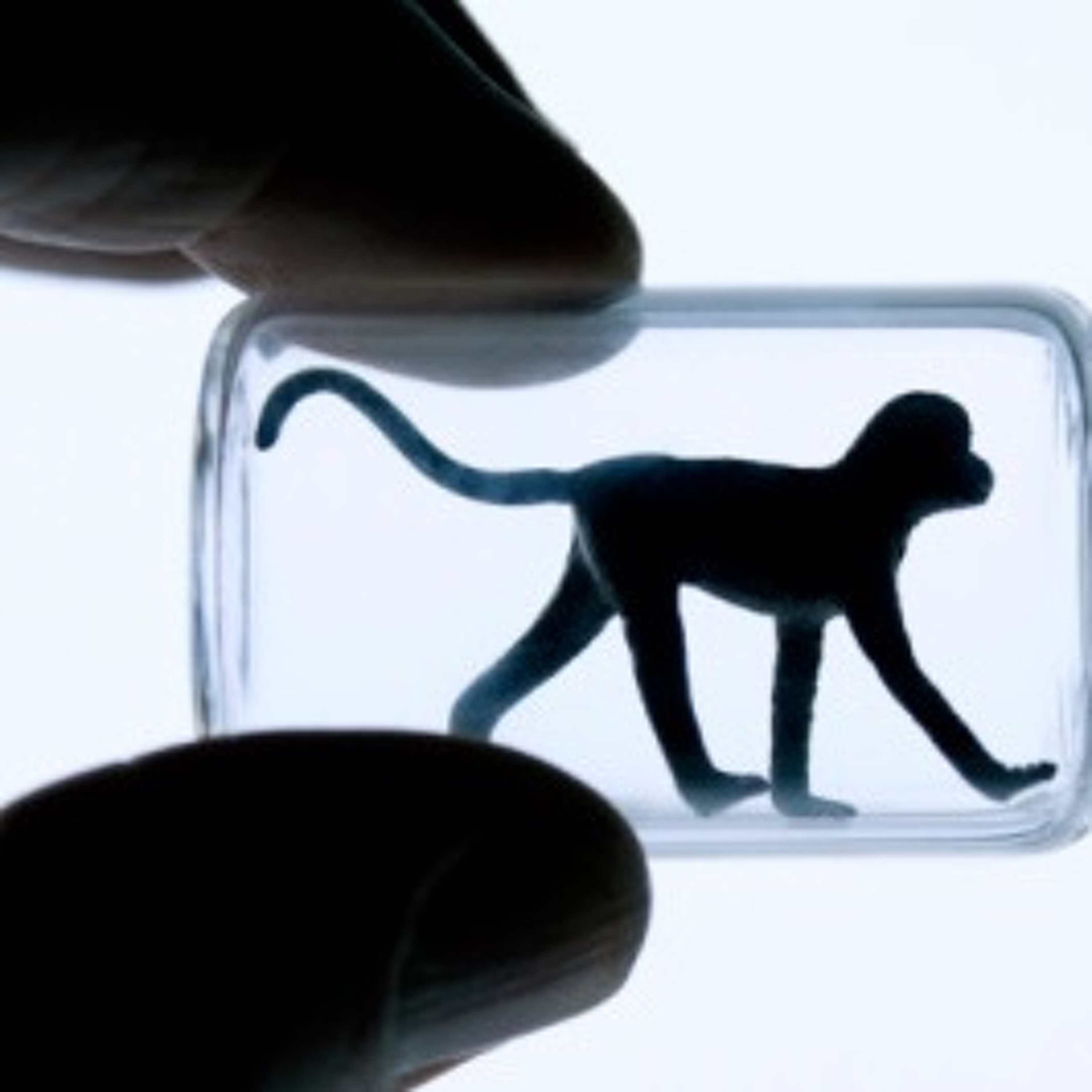 Health Science (For the Rest of Us!)