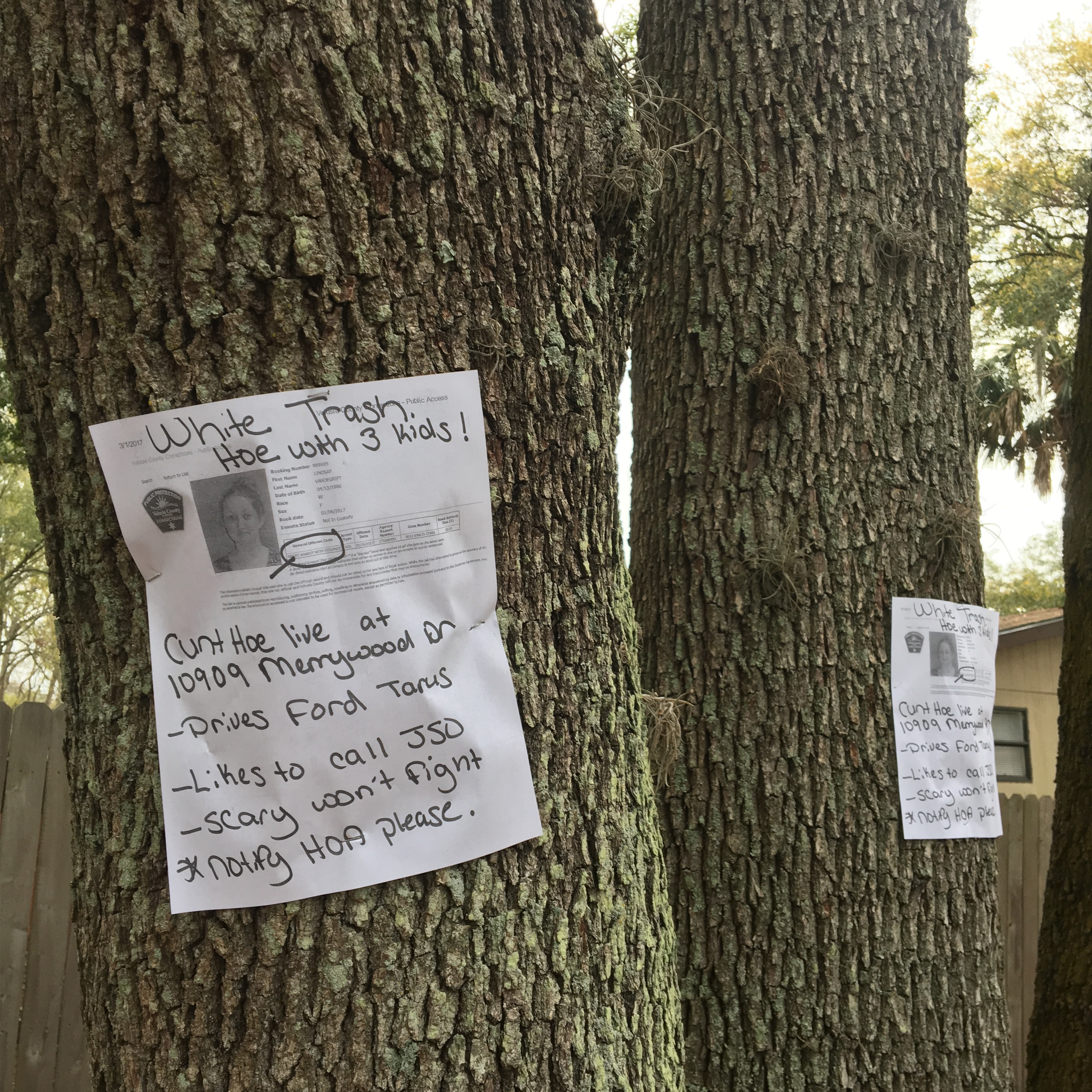 Beerpong Politics And Armchair Antics