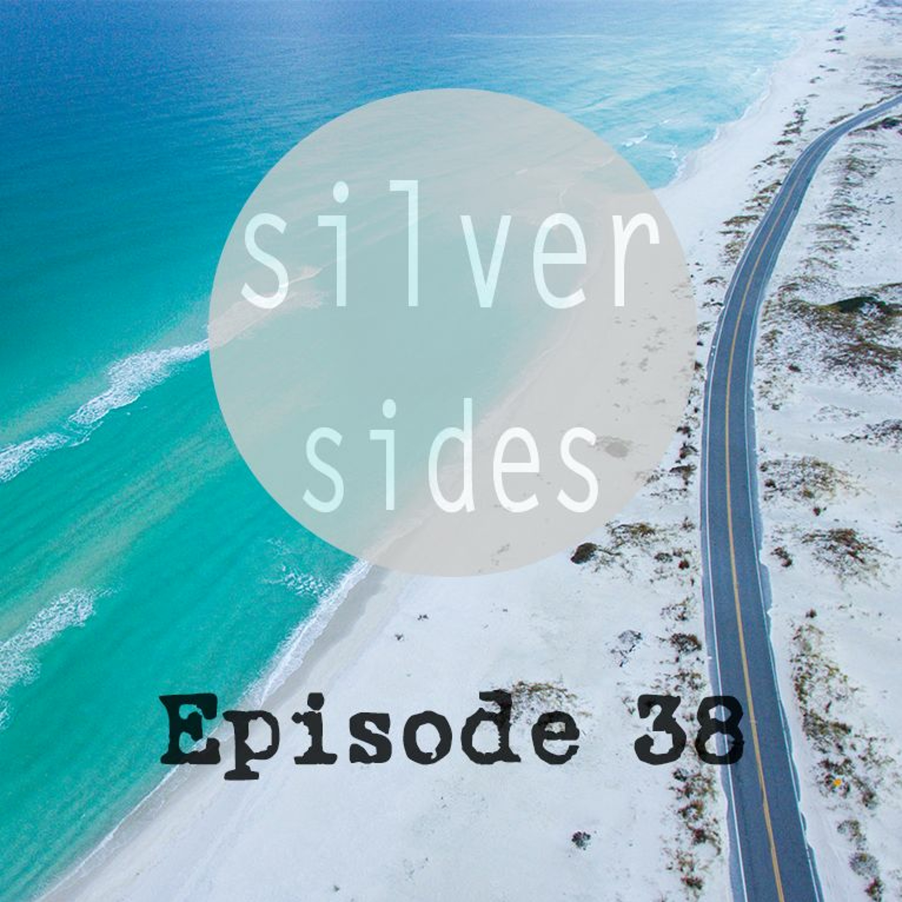 Episode 38 - Anywhere on Torpor