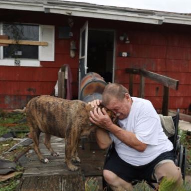 Episode 39 - Dogs in Disaster