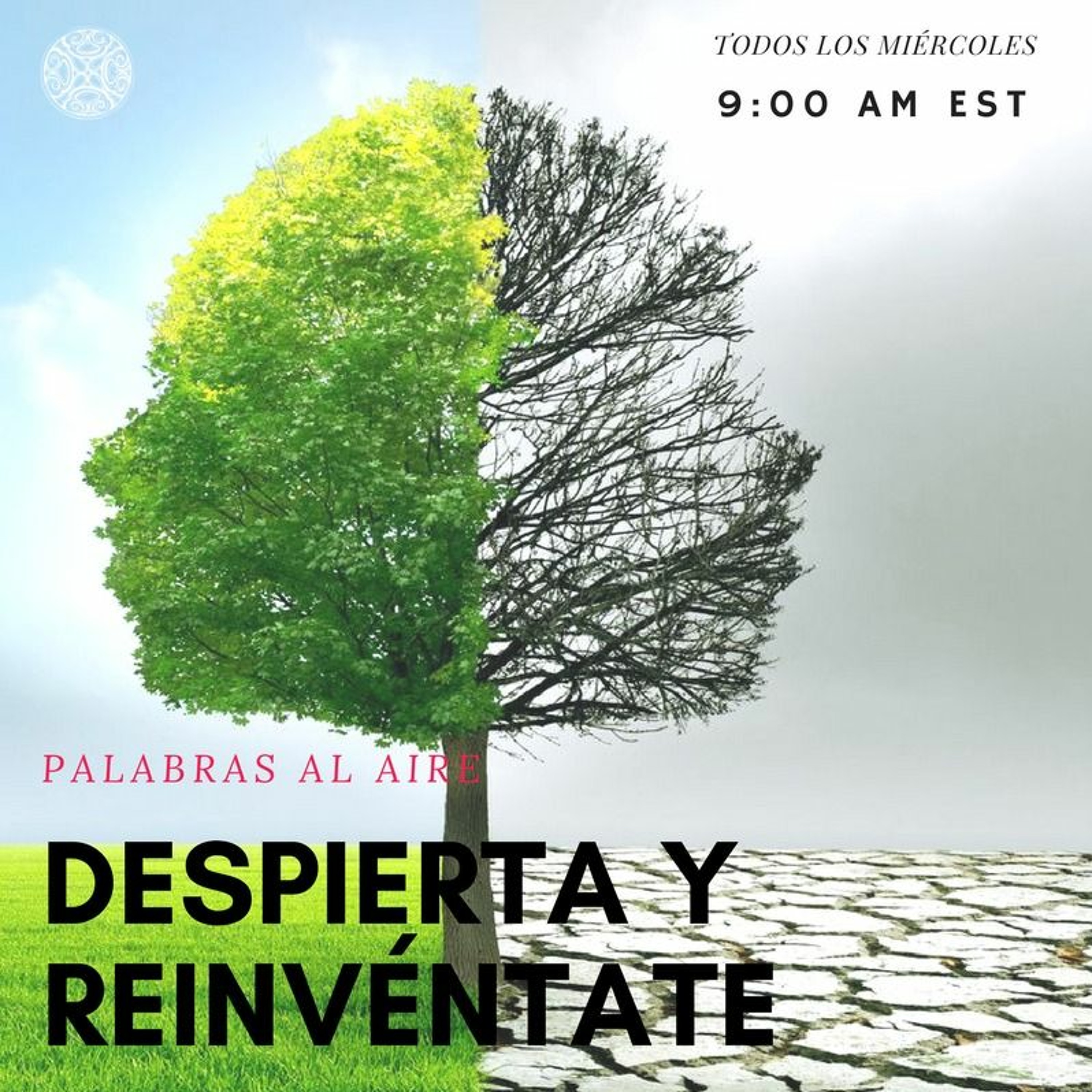 Palabras Al Aire Radio