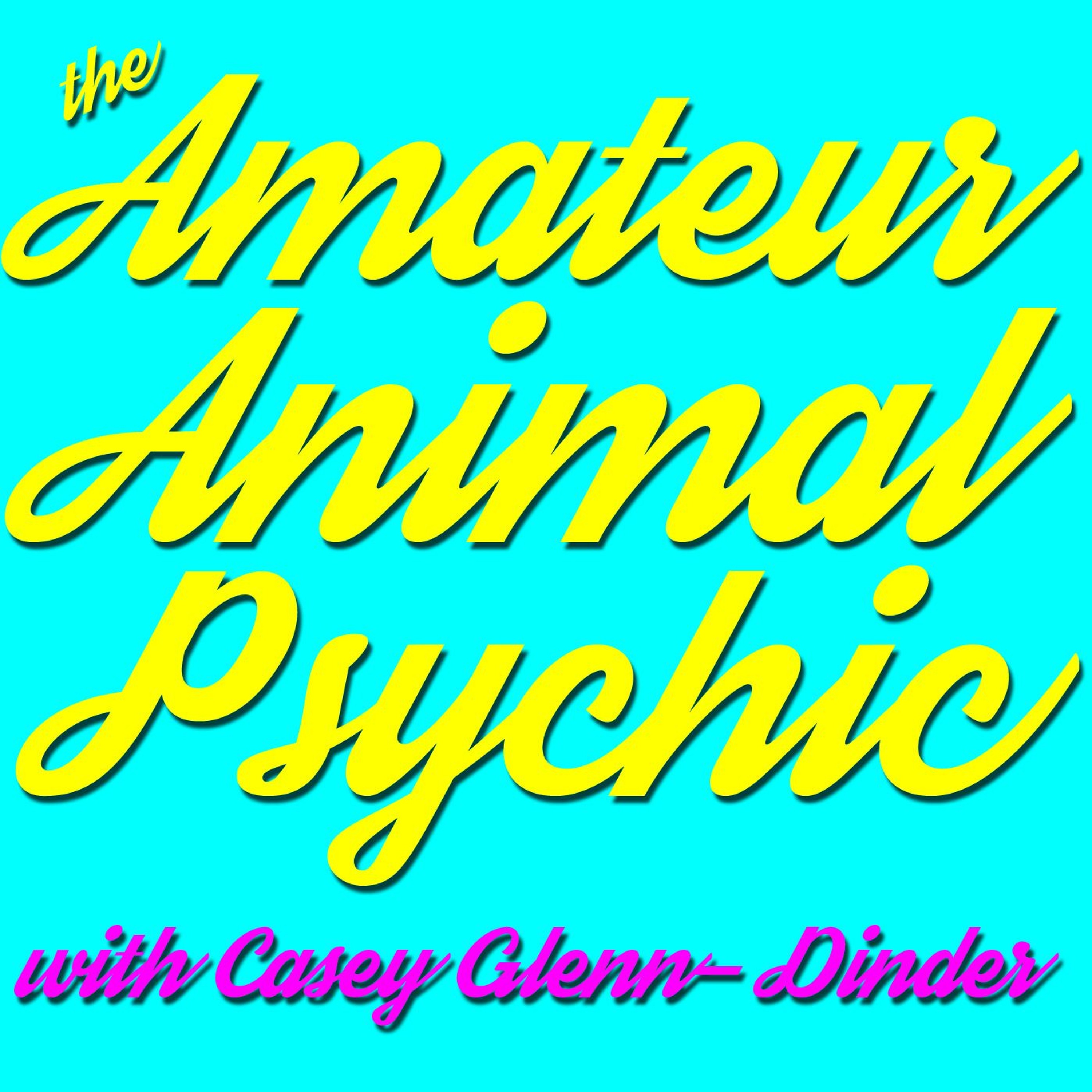 The Amateur Animal Psychic