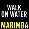Walk On Water Marimba Ringtone Thirty Seconds To Mars Mp3