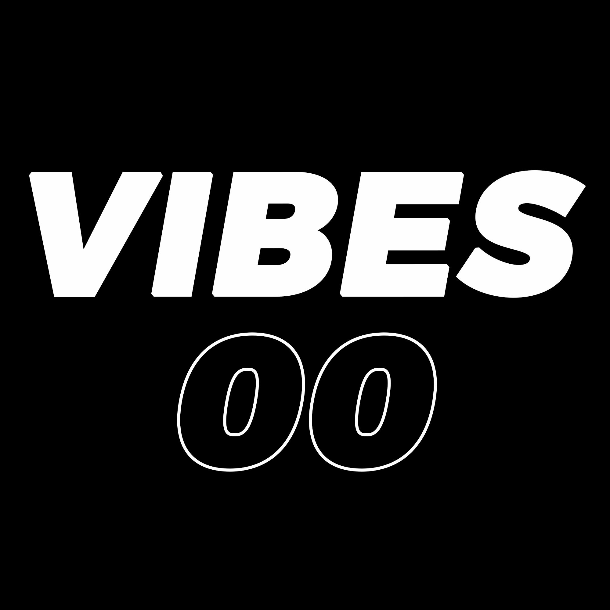 VIBES Podcast Episode 00 - NO DUMB QUESTIONS