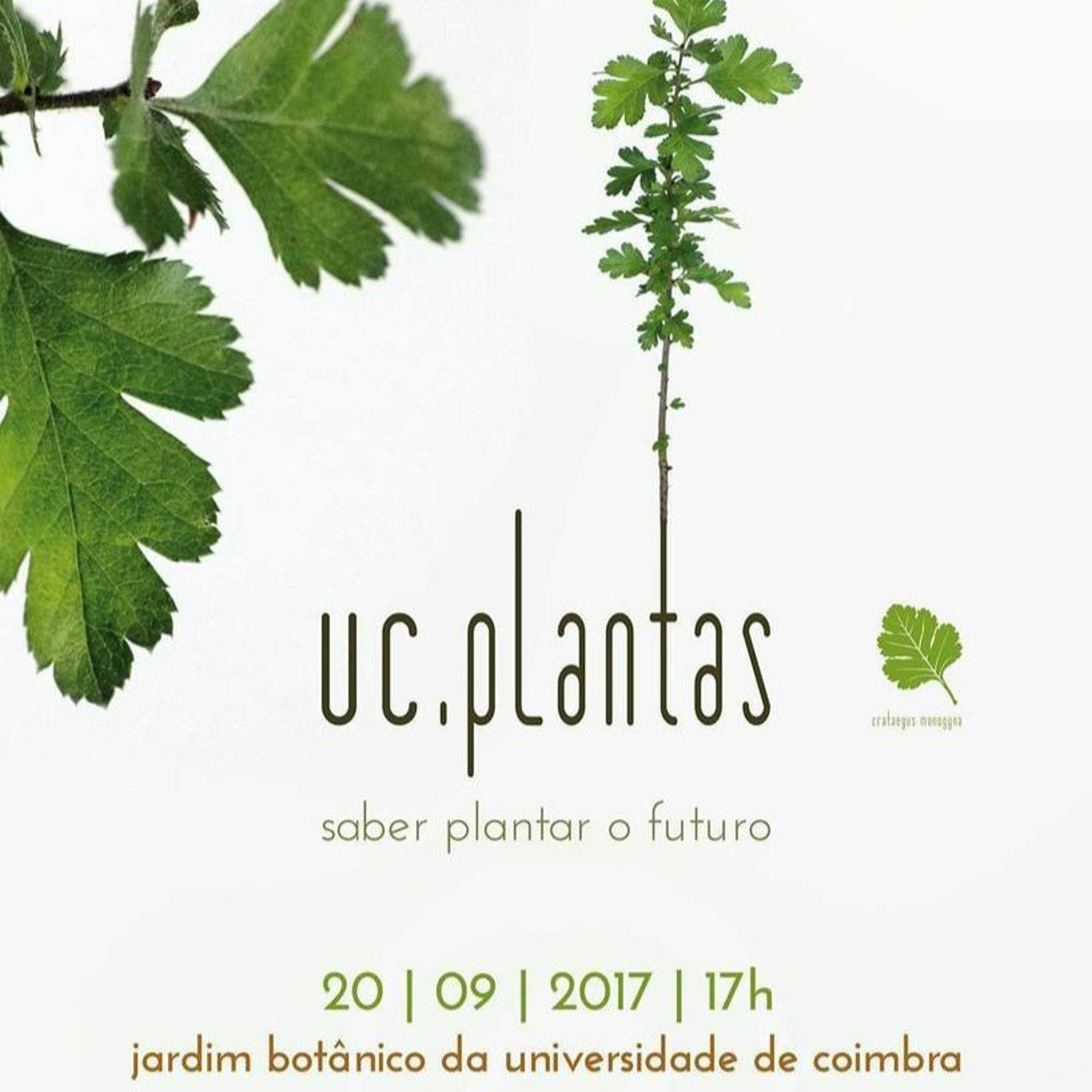 Todas as plantas têm nome
