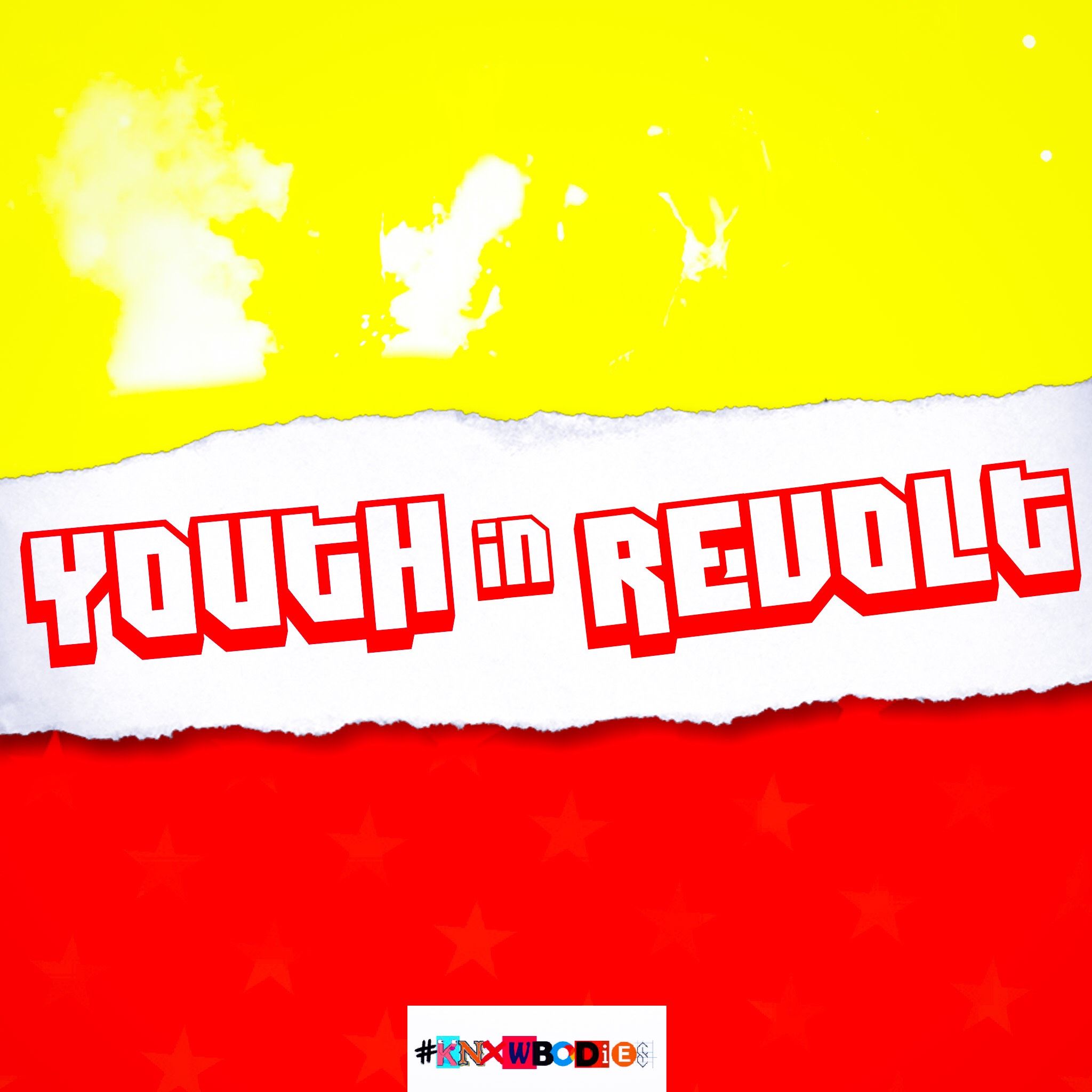 Youth In Revolt