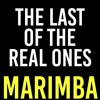 The Last Of The Real Ones Marimba Ringtone Fall Out Boy Mp3