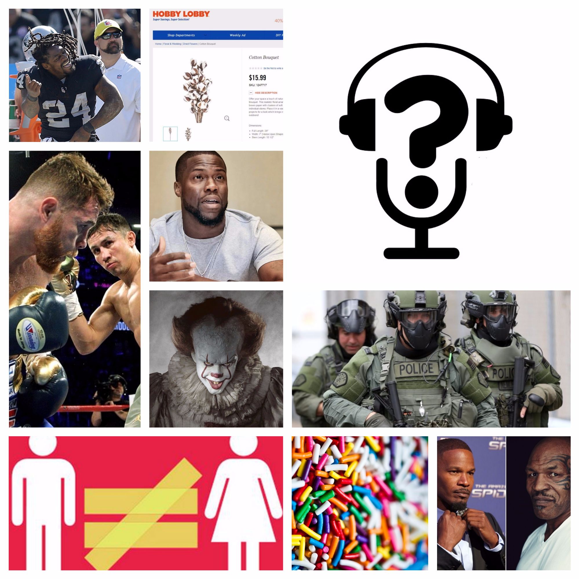 The Alternative FAQs podcast