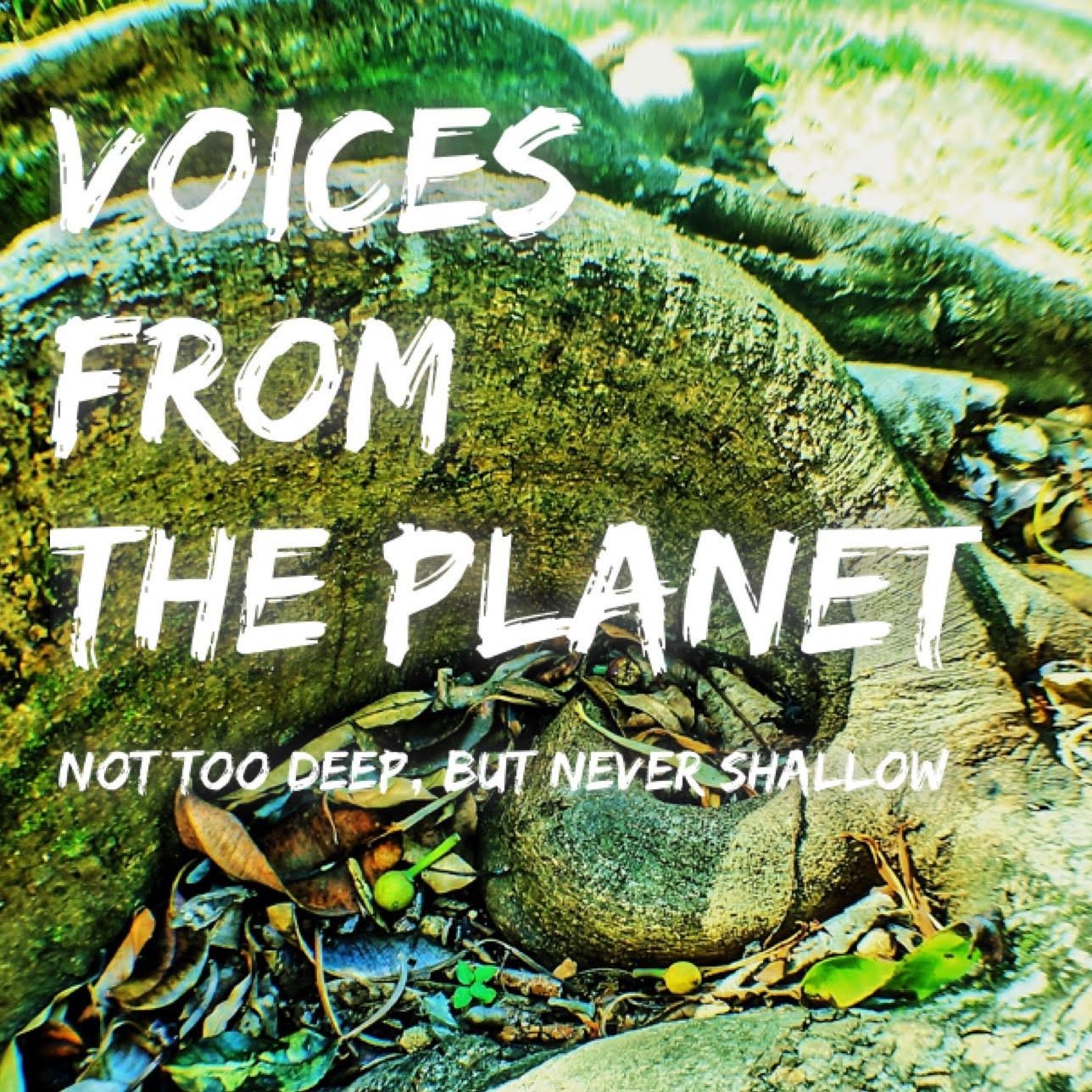 Voices From The Planet