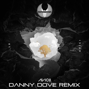 Avicii ft. Rita Ora - Lonely Together (Danny Dove Remix)TEASER להורדה