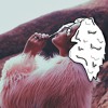 Hold Me Down Zentenial Remix Mp3