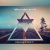 Oasis Wonderwall Cabuizee And Nikki X Remix Mp3