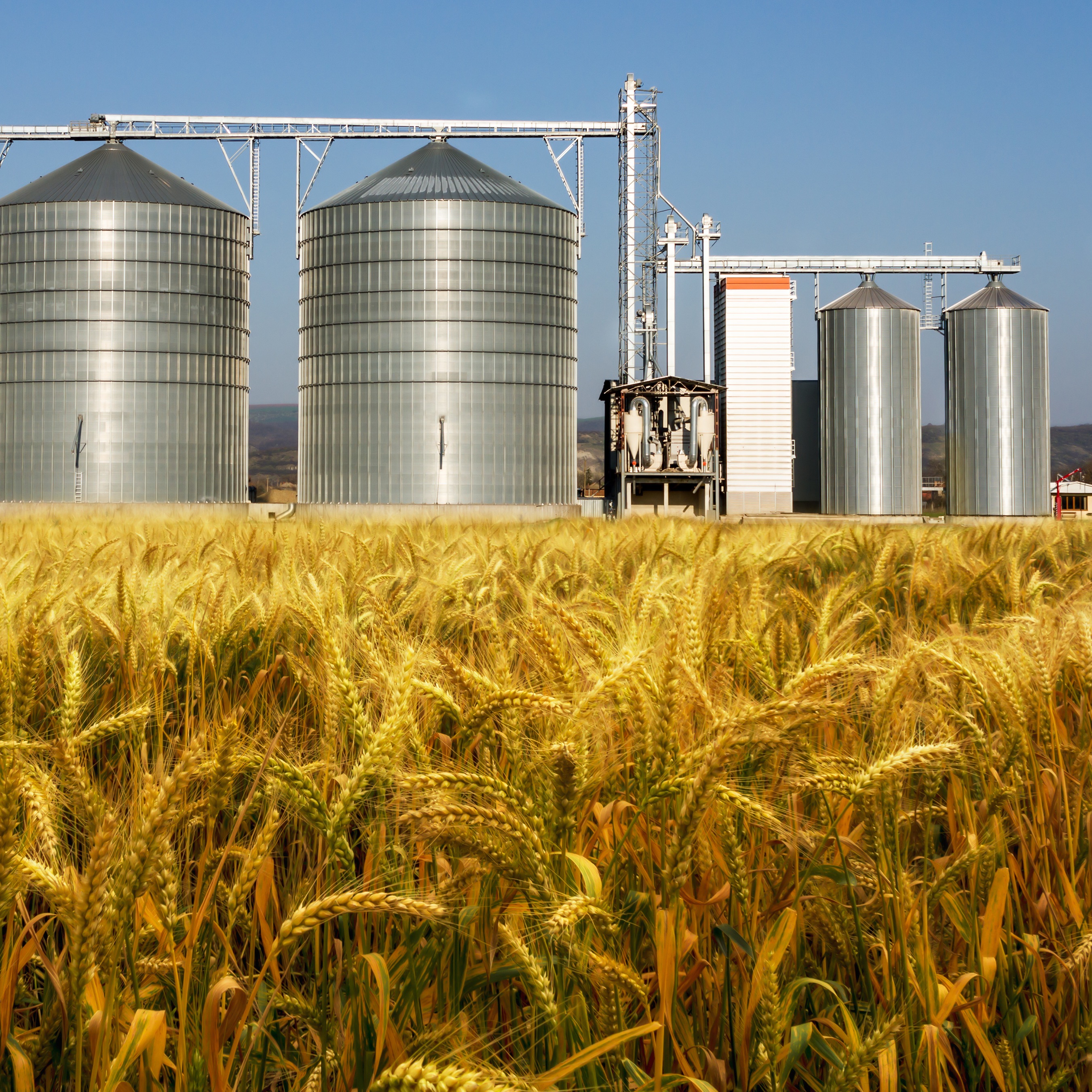 Agri Commodities Monthly September 2017: Watching, Waiting, Yield Debating