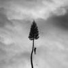 The Gold By Manchester Orchestra Mp3