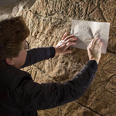 Philosophy Chamber Conversations: Anne Driesse on Drawing the Rock