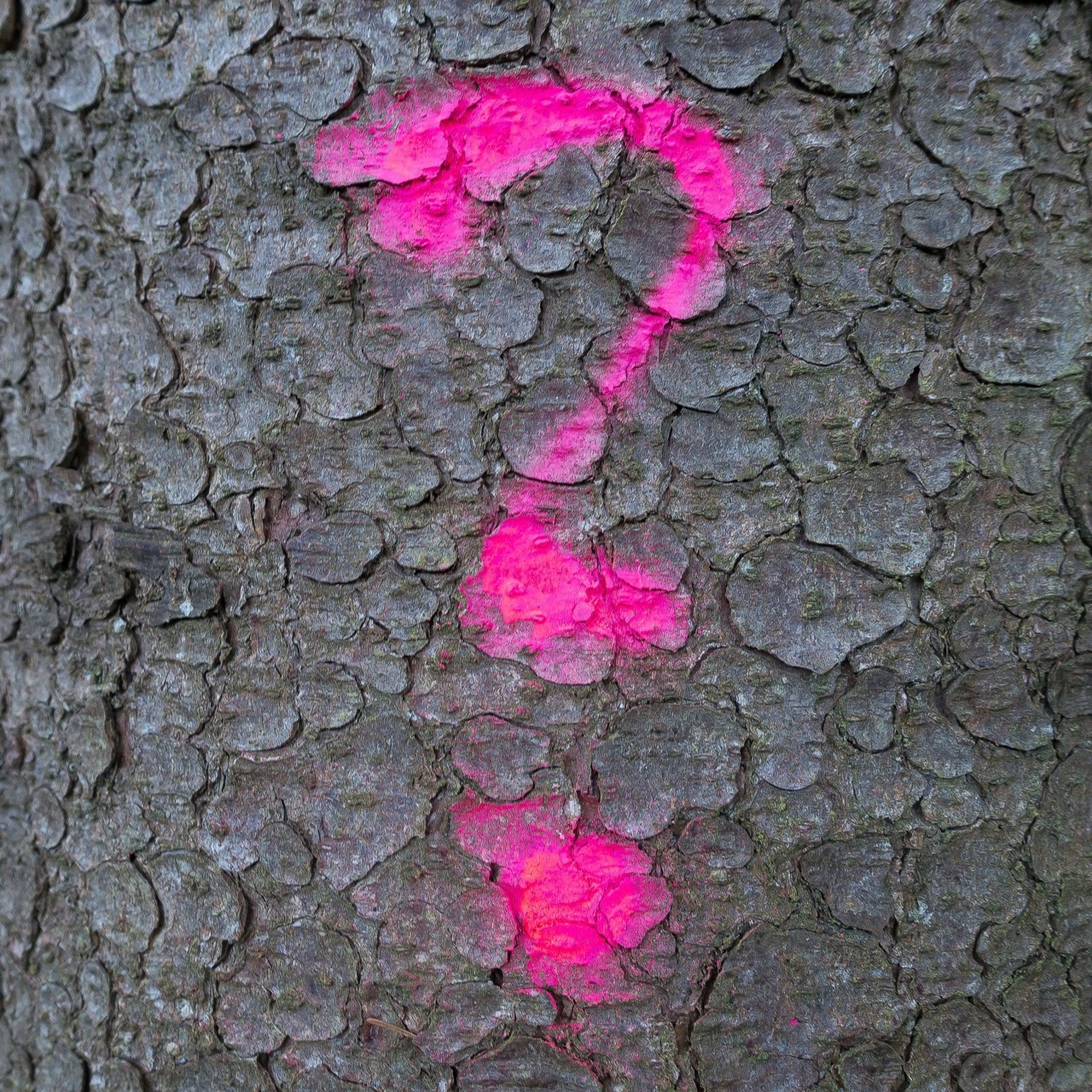 What are the key research questions to inform and support international development?