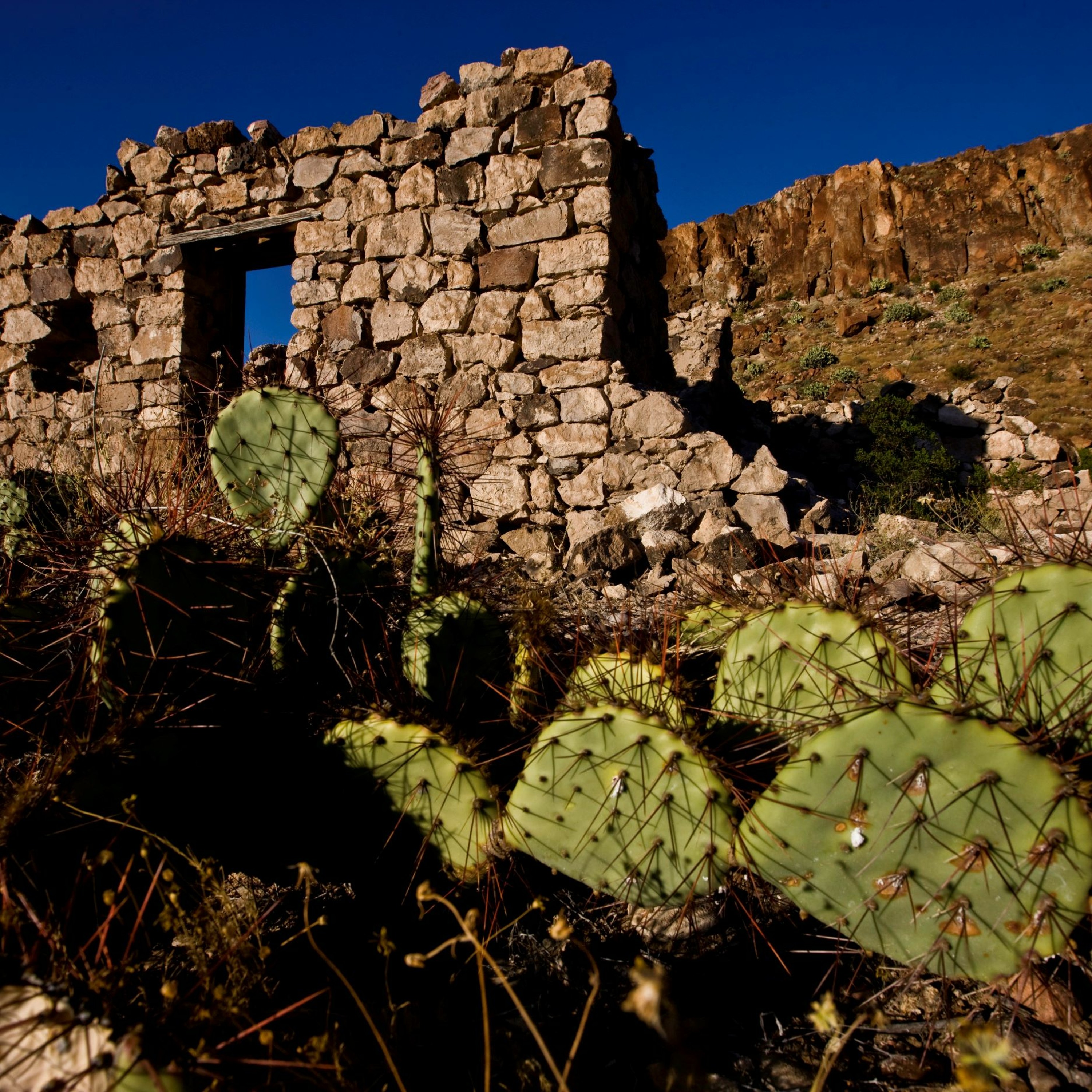 What Can Ancient Farmers Teach Us About Future Food Issues?