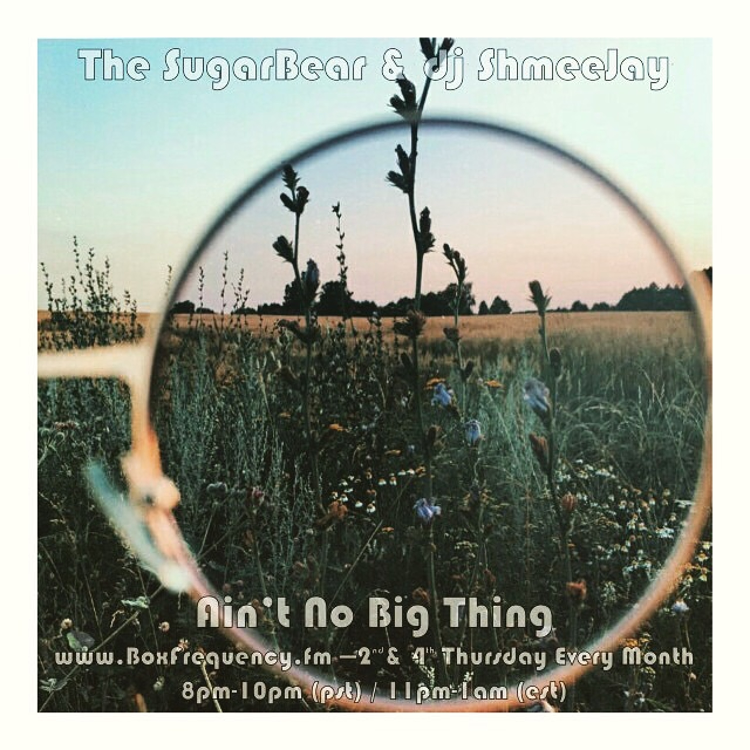 Ain\'t No Big Thing Radio Show
