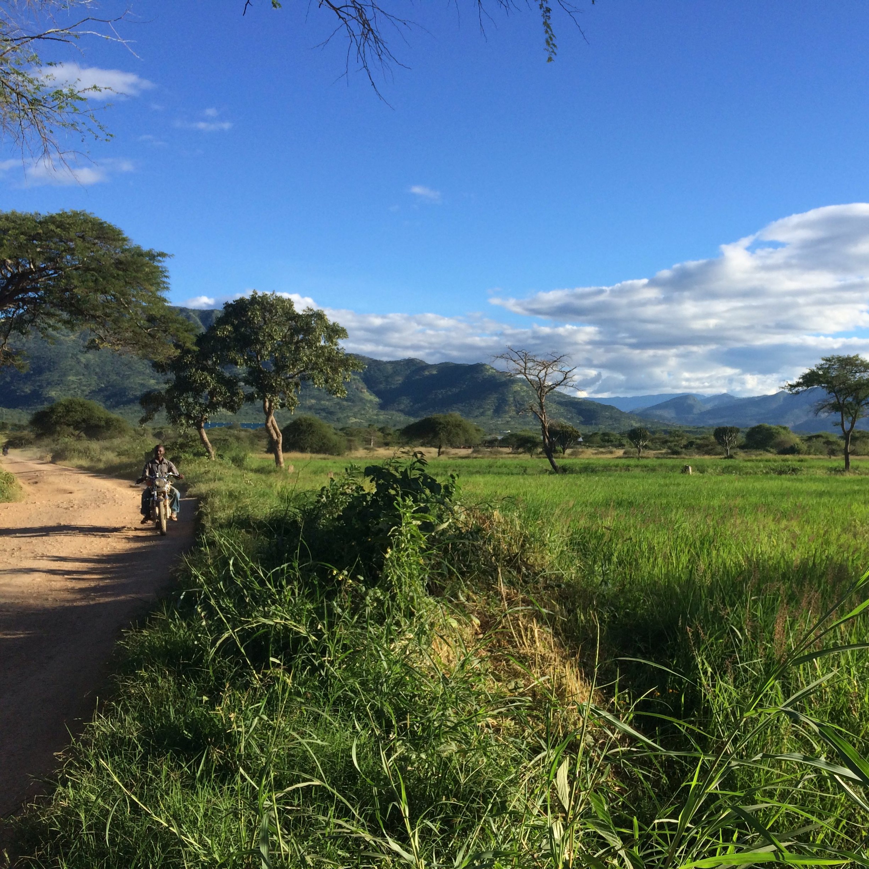Natural Resource Management in Tanzania’s Usangu Plains