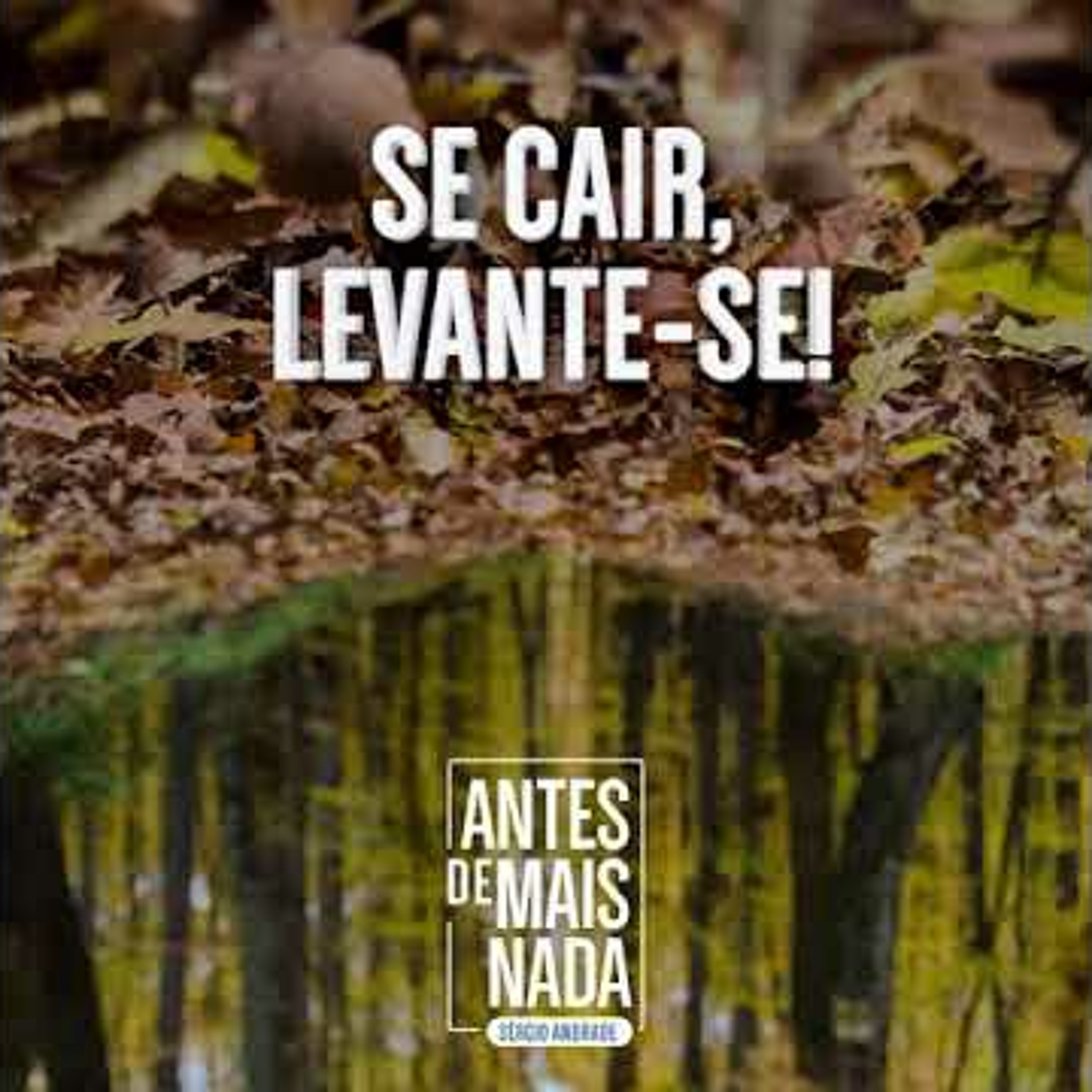 Antes de Mais Nada...