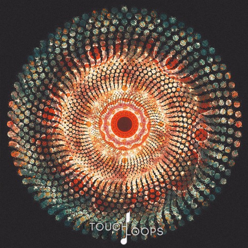 Touch Loops Cyclic Beats WAV-DISCOVER Touch Loops Cyclic Beats WAV-DISCOVER