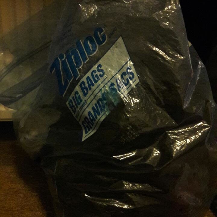 Dispatches From Old Hickory's Wheel House