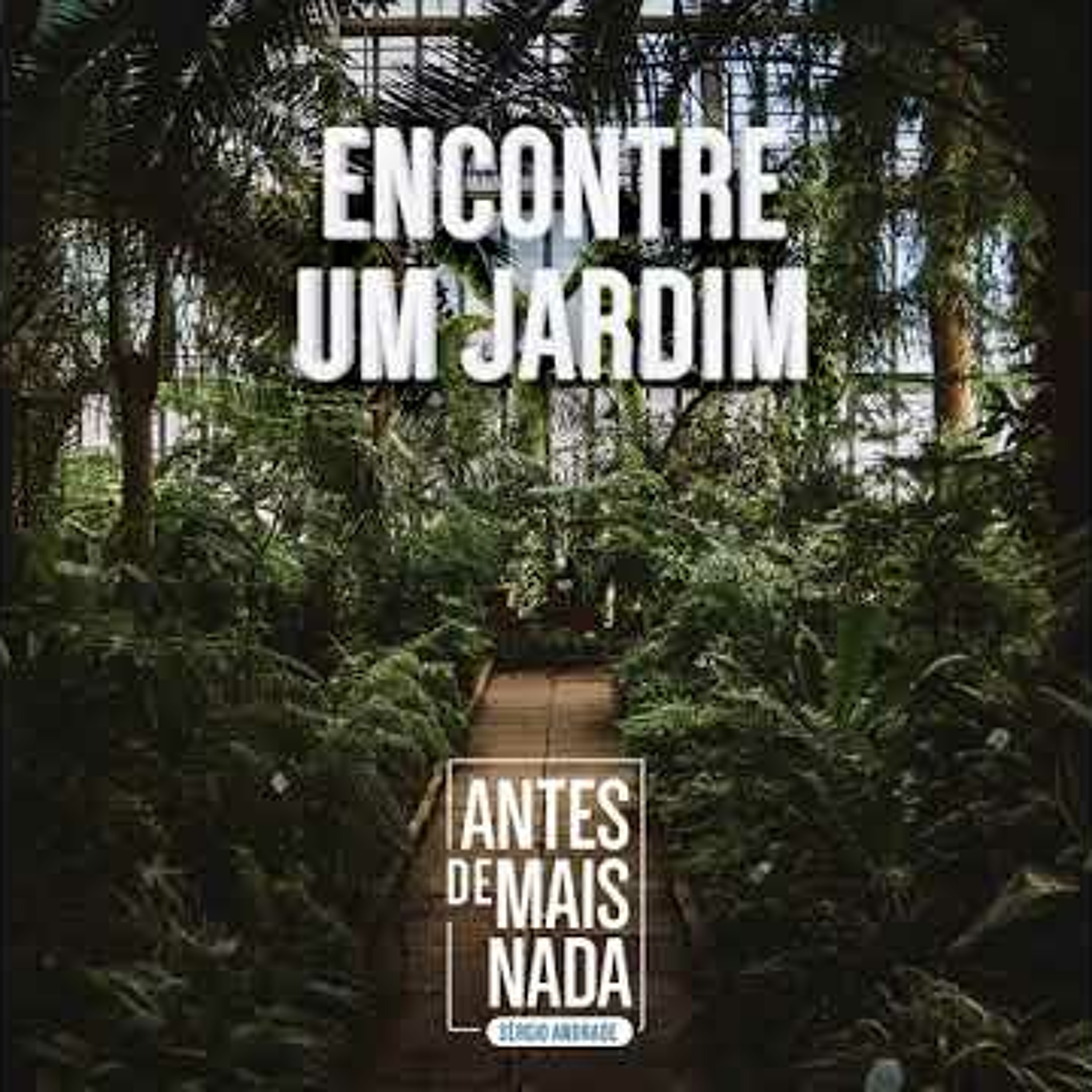 Antes de Mais Nada...