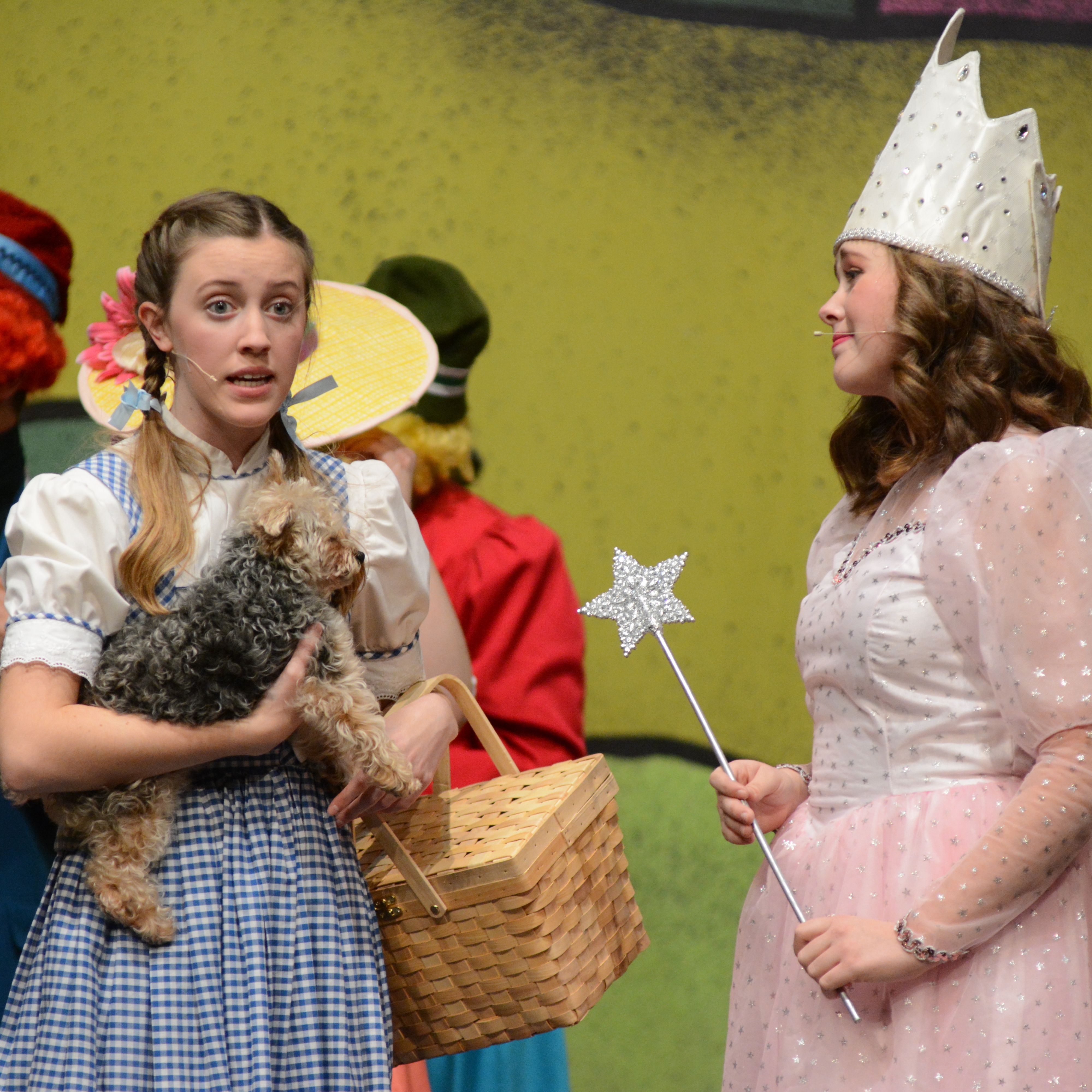 Wizard Of Oz Wizard Of Oz