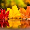 Sweet November