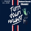 Dj Snake Turn Down For What (Mehmet Besrek Remix)