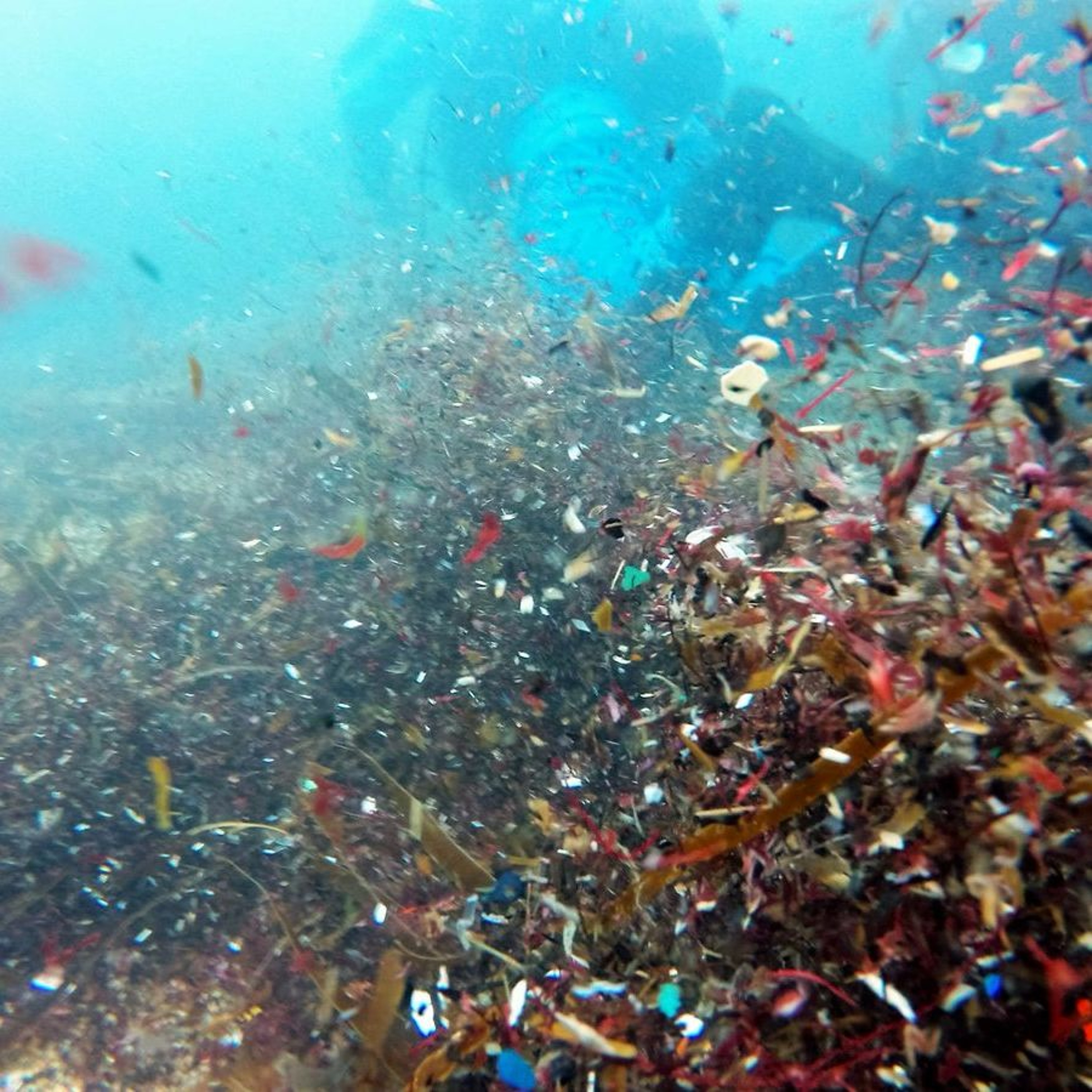 Making Waves | How to Create a Zero Waste Society