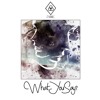 Jason Derulo - What you Say (Platonic Remix)