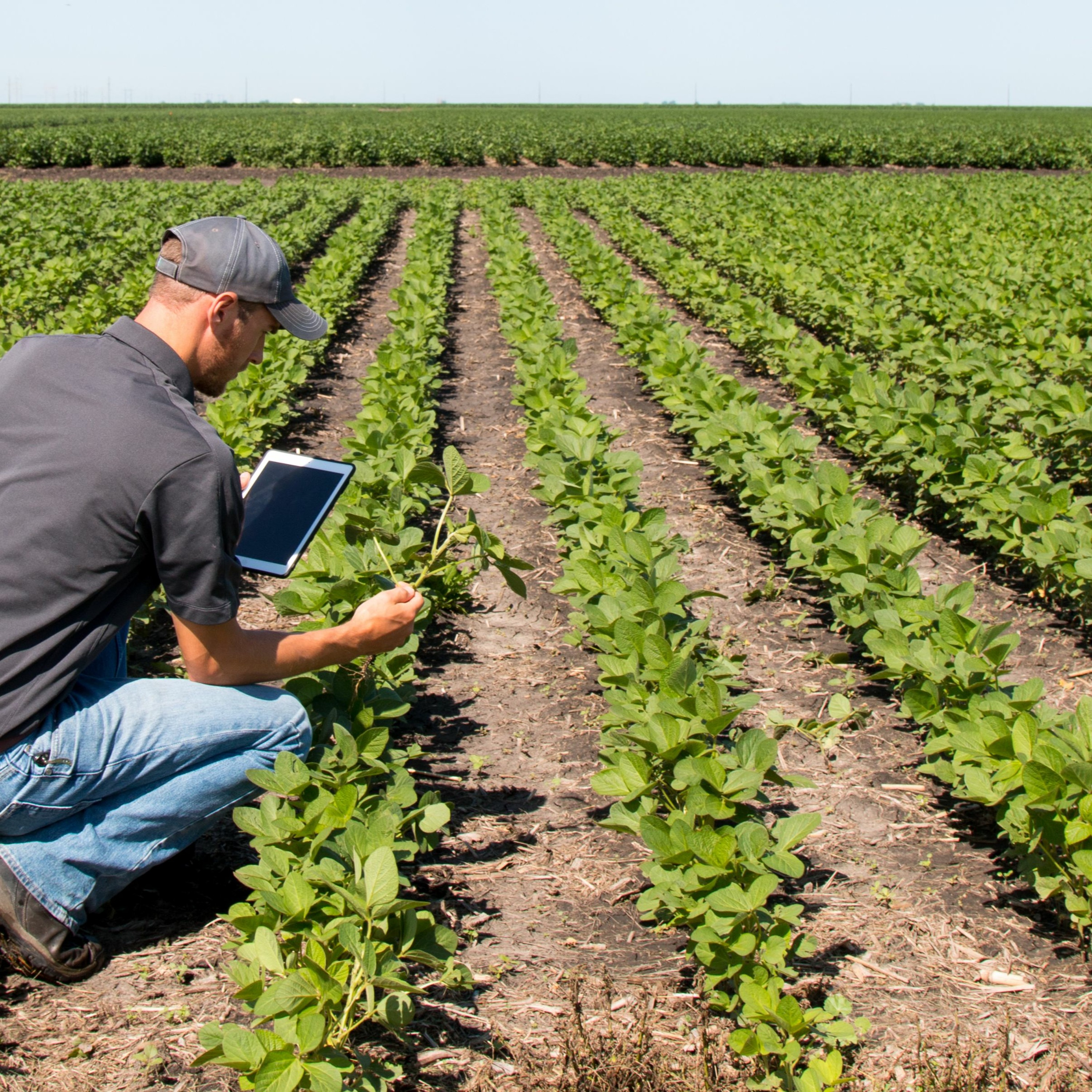 California Groundbreakers
