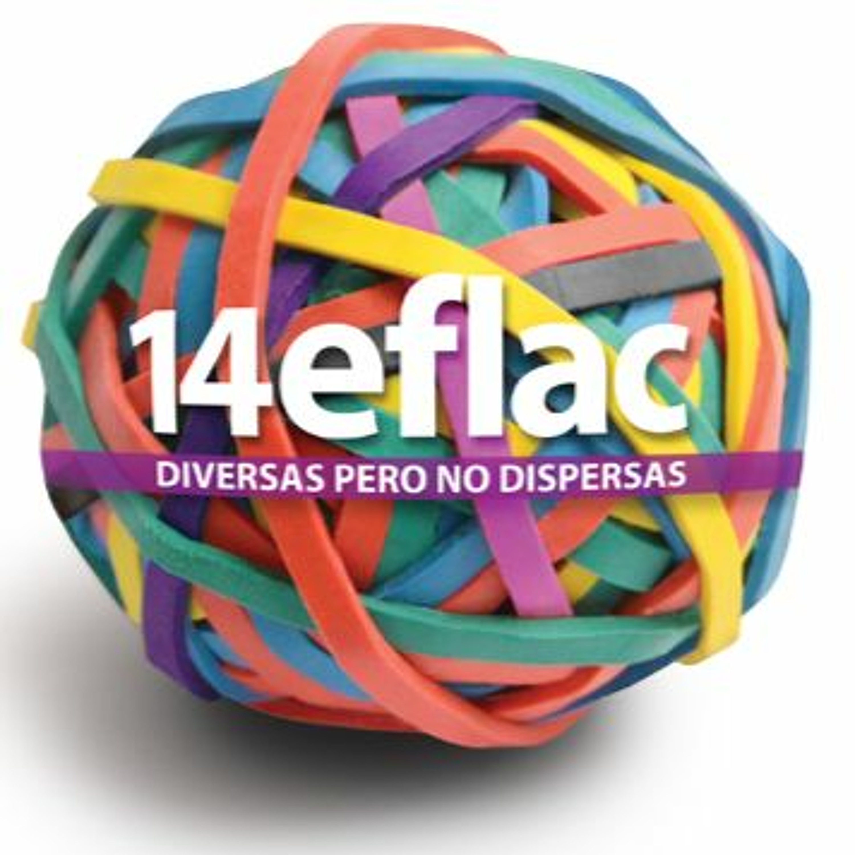 14 eFLAC | Informe
