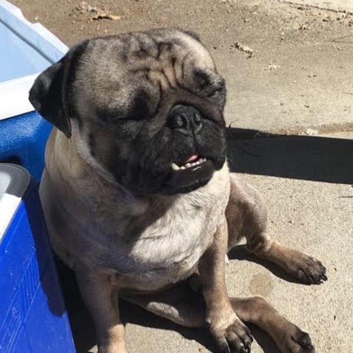 Episode 37: Ninety Degrees Left