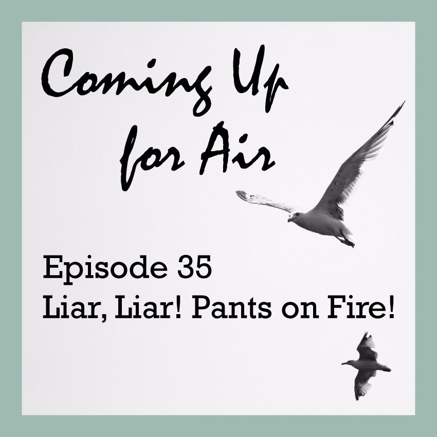 PODCAST #35 Liar Liar, Pants On Fire!
