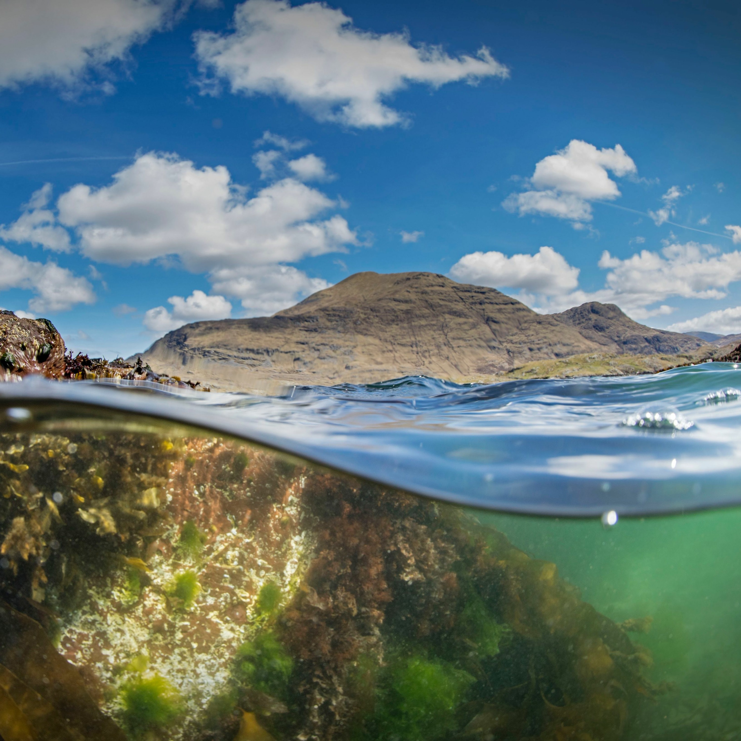 How’s the weather out there? Ireland in the Year 2050