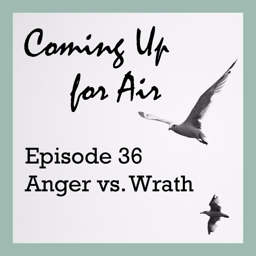 PODCAST #36 Anger vs. Wrath
