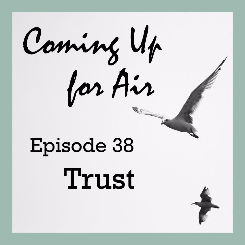 PODCAST #38 Trust and SUD
