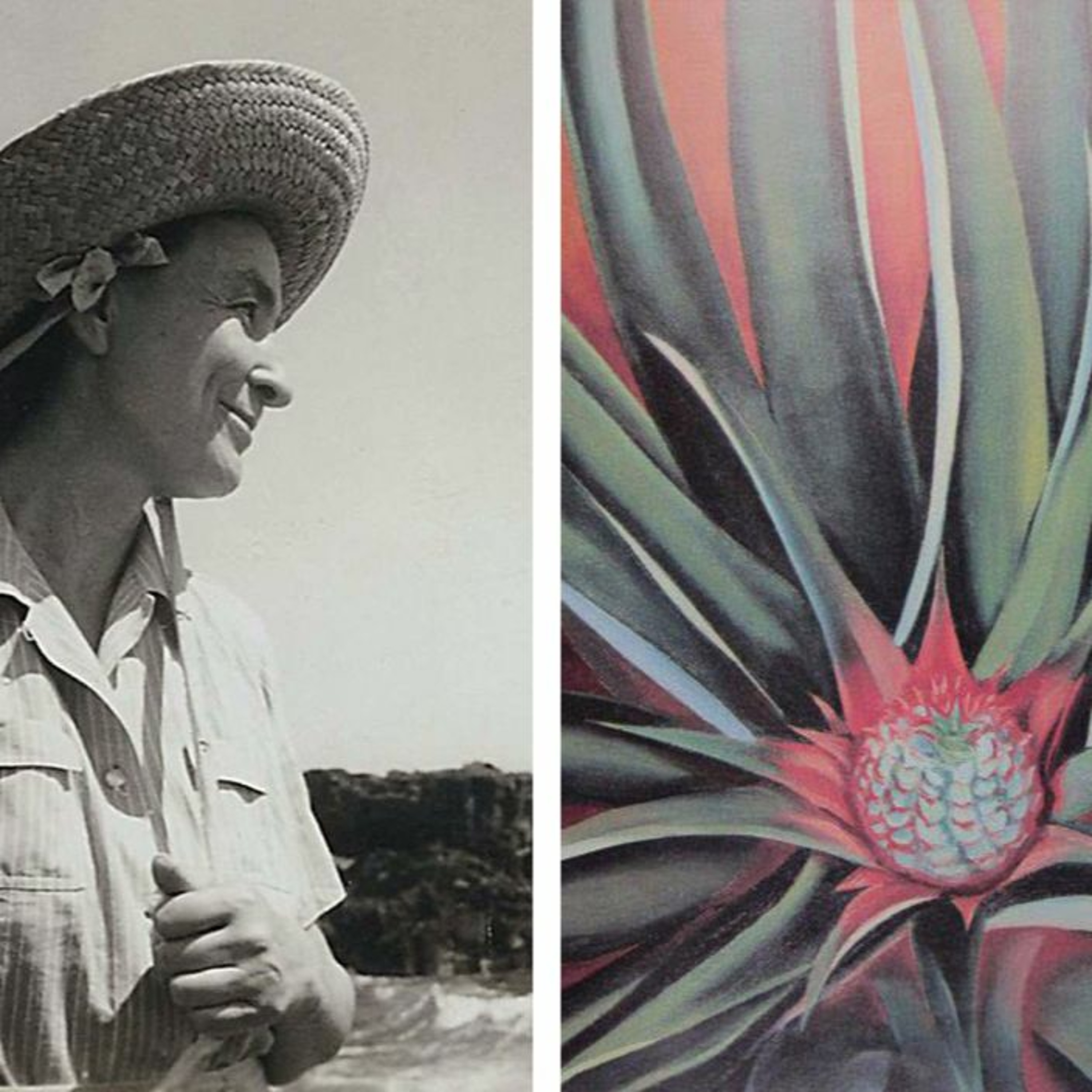 No. 61: When Georgia O’Keeffe Went to Hawaii to Paint Pineapples for Dole