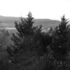 Agnes Obel Familiar Binary Remix Mp3